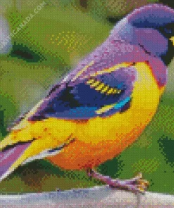 Yellow And Purple Bird Diamond Painting