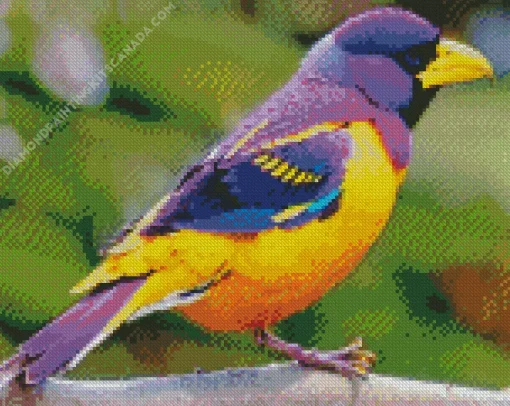 Yellow And Purple Bird Diamond Painting