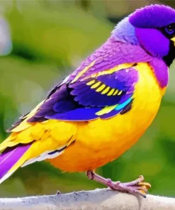 Yellow And Purple Bird Diamond Painting