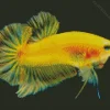 Yellow Betta Fish Diamond Painting