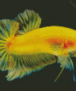 Yellow Betta Fish Diamond Painting