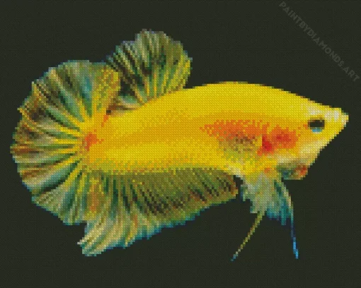 Yellow Betta Fish Diamond Painting