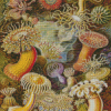 Actiniae By Ernst Haeckel Diamond Painting