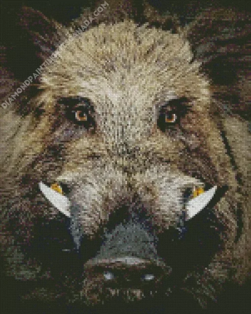 Boar Face Diamond Painting