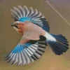 Eurasian Jay Bird Diamond Painting