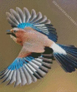 Eurasian Jay Bird Diamond Painting