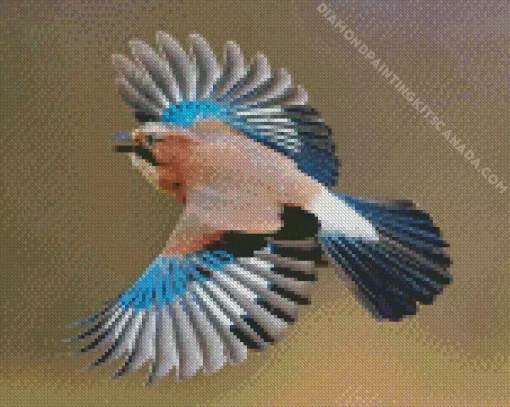 Eurasian Jay Bird Diamond Painting