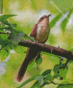 Black Billed Cuckoo Diamond Painting