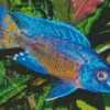 Blue Tropical Fish Diamond Painting