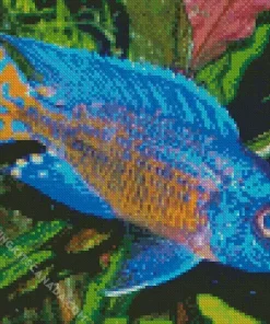 Blue Tropical Fish Diamond Painting