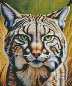 Bobcat Face Diamond Painting