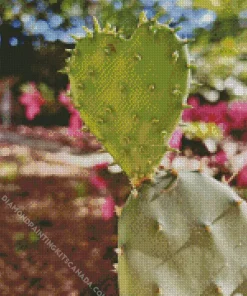 Cactus Heart Diamond Painting