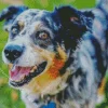 Catahoula Leopard Dog Diamond Painting