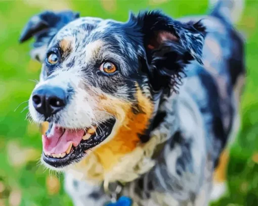 Catahoula Leopard Dog Diamond Painting