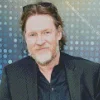 Donal Logue Diamond Painting