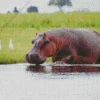 Gray Hippopotamus Diamond Painting