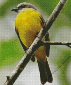 Grey And Yellow Bird Diamond Painting