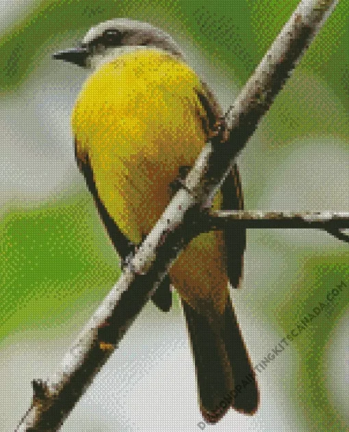 Grey And Yellow Bird Diamond Painting