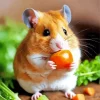 Hamster Eating Diamond Painting