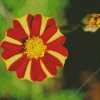 Harlequin Marigold Diamond Painting