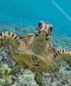 Hawksbill Sea Turtle Diamond Painting