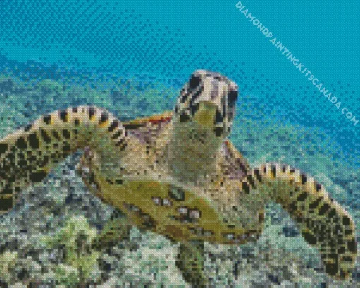 Hawksbill Sea Turtle Diamond Painting