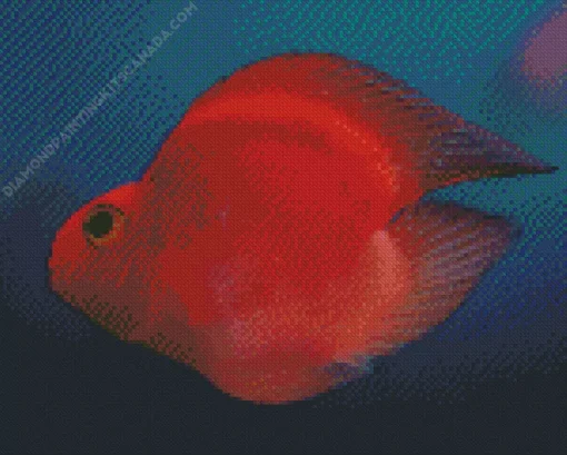 Heart Parrot Fish Diamond Painting