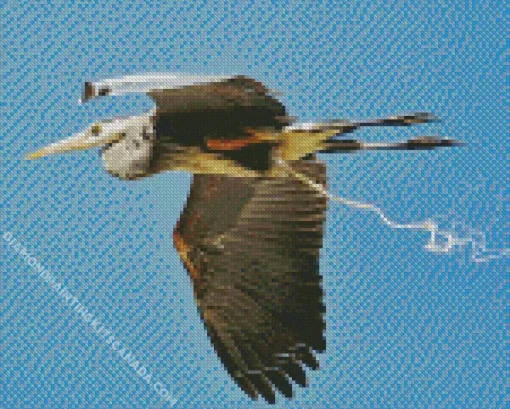 Heron Bird Flying Diamond Painting