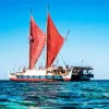 Hokulea Boat Diamond Painting