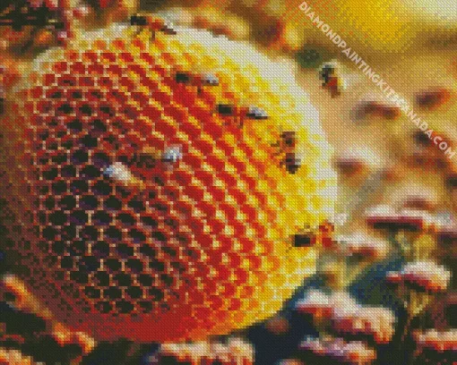 Honey Beehive Diamond Painting