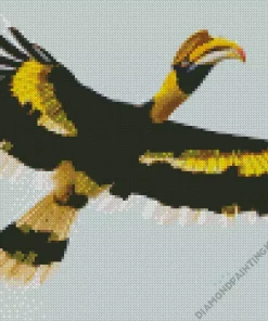 Hornbill Bird Diamond Painting