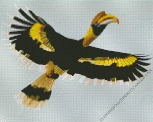 Hornbill Bird Diamond Painting