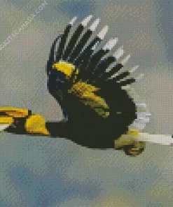 Hornbill Bird Flying Diamond Painting