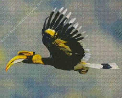 Hornbill Bird Flying Diamond Painting