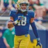 Notre Dame Football Player Diamond Painting