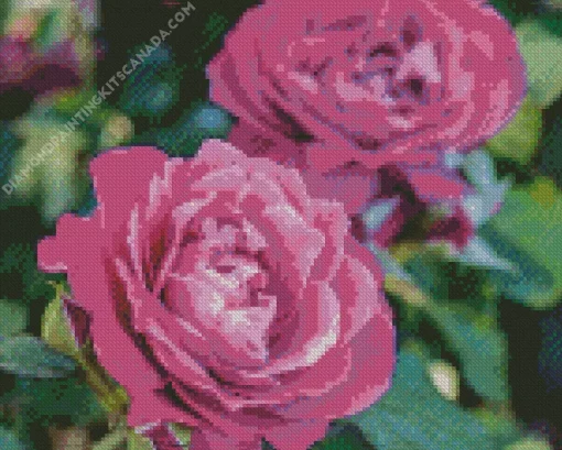 Purple Heirloom Roses Diamond Painting