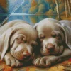 Weimaraner Puppies Diamond Painting