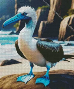 Blue Footed Booby Diamond Painting