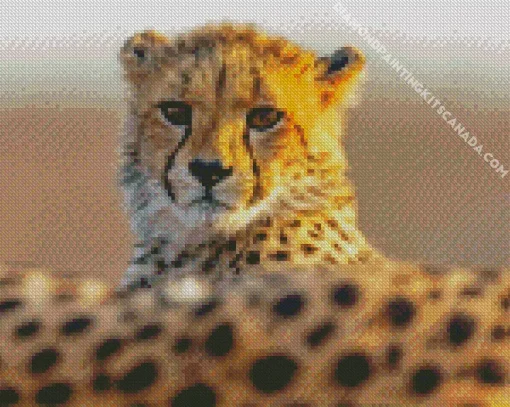 Cheetah Cub Diamond Painting