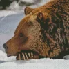 Bear Sleeping Diamond Painting