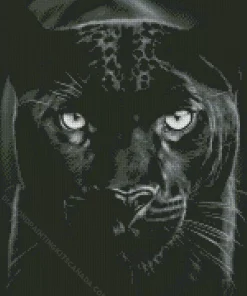 Black Panther Animal Diamond Painting