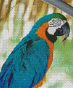 Blue And Gold Macaw Diamond Painting