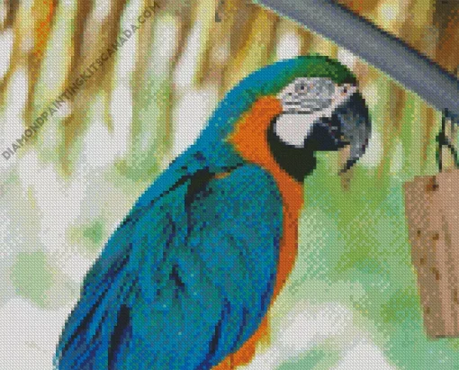 Blue And Gold Macaw Diamond Painting