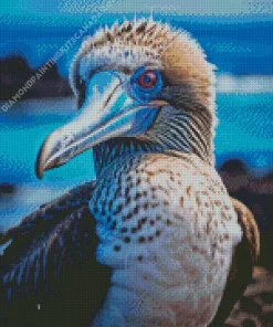 Blue Footed Booby Bird Diamond Painting