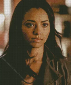 Bonnie Bennett Diamond Painting