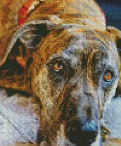 Brindle Art Diamond Painting