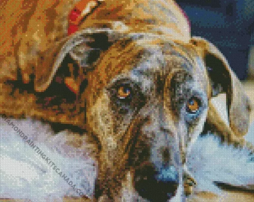 Brindle Art Diamond Painting