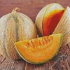 Cantaloupe Melon Diamond Painting