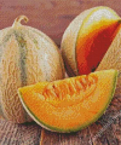 Cantaloupe Melon Diamond Painting