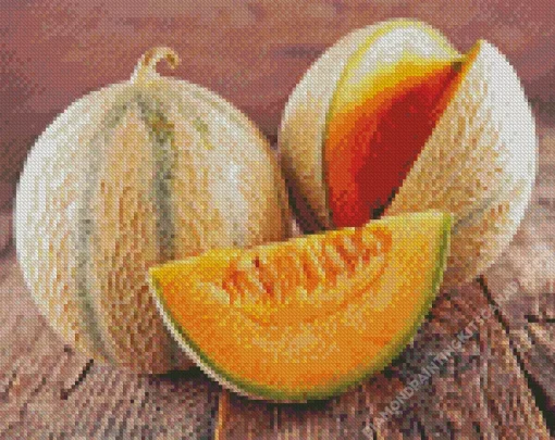 Cantaloupe Melon Diamond Painting